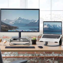 West Elm Twelve South Curved Monitor Stand