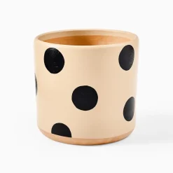 West Elm Ultralight Dreams Isla Hand-Painted Polka Dot Planter