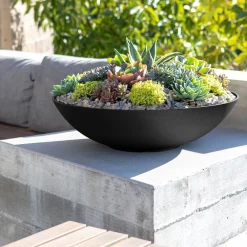West Elm Veradek Lane Indoor/Outdoor Bowl Planter