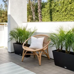 West Elm Veradek Midori Indoor/Outdoor Planter