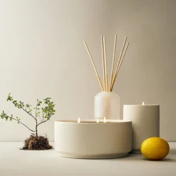 West Elm Homescent Collection - Citrus Pine