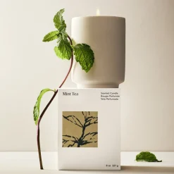 West Elm Homescent Single Wick Candle - Mint Tea