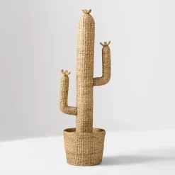 West Elm Woven Cactus