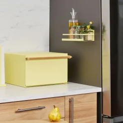 West Elm Yamazaki Plate Magnetic Spice Rack