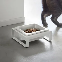 West Elm Yamazaki Single Pet Food Bowl